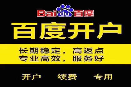 百度推广公司：行业领先的网络营销案例